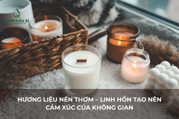 Hương Liệu Nến Thơm – Linh Hồn Tạo Nên Cảm Xúc Của Không Gian